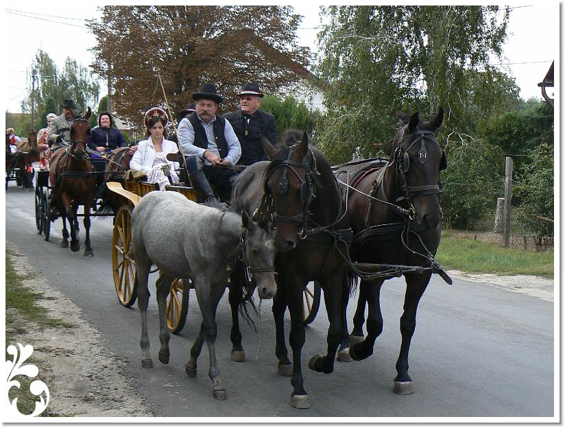 Szuret Felv es Bal_125